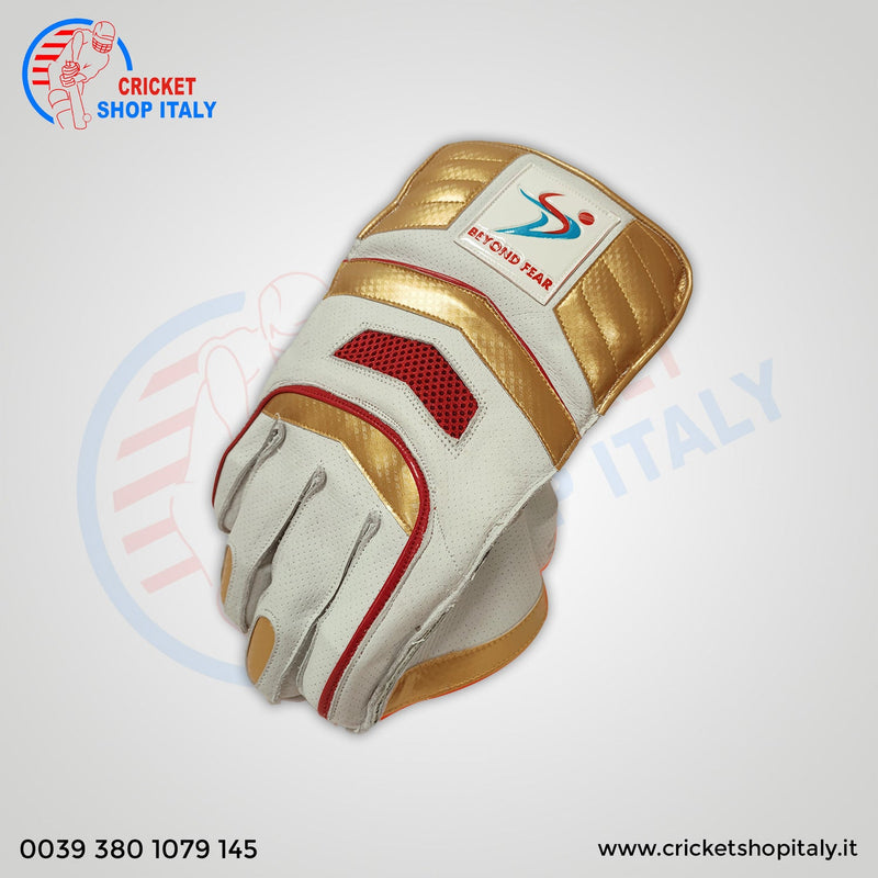 Ds Wicket Keeping Gloves