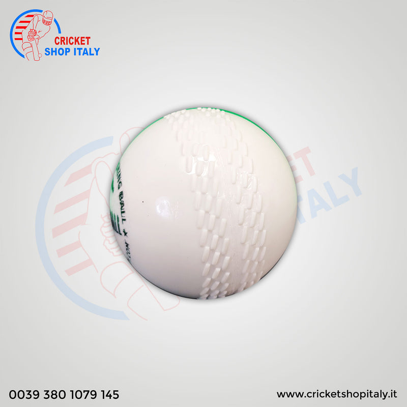 Wind Cricket Ball White