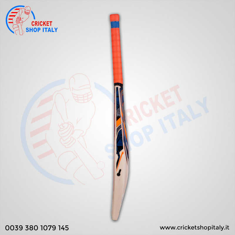 CA Plus 2000 Cricket bat