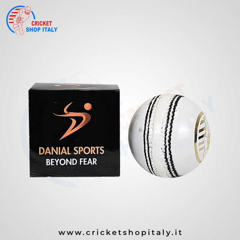 DS T 20 Cricket Ball (12 Balls)