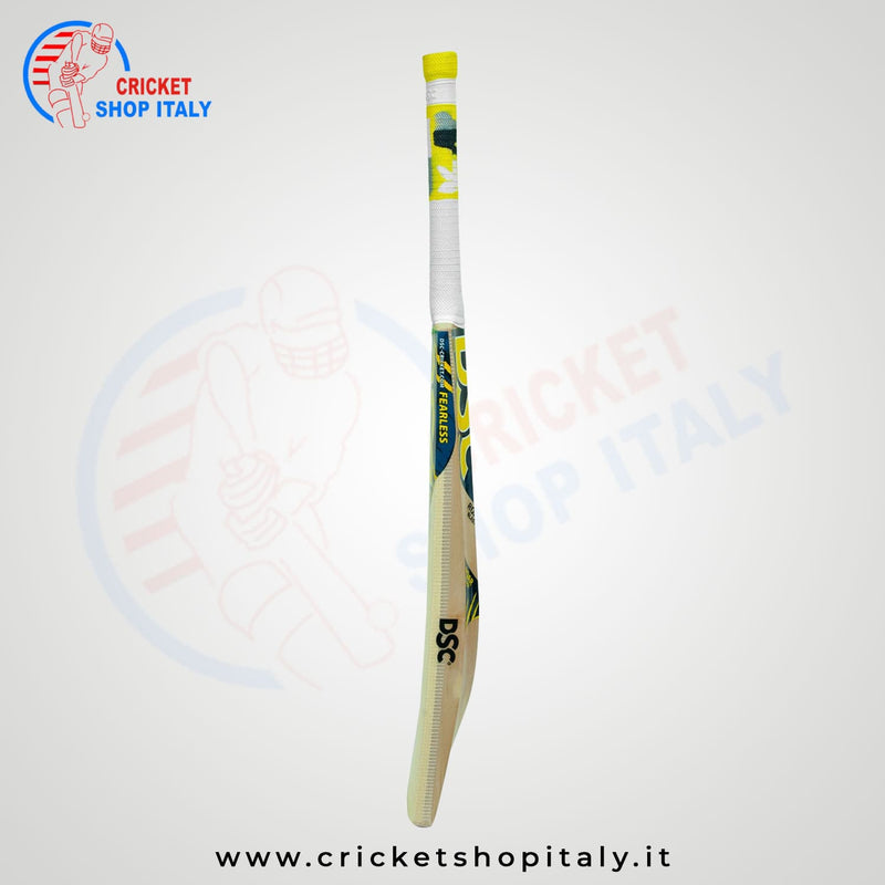 Dsc Roar Blast Kashmir Willow Cricket Bat