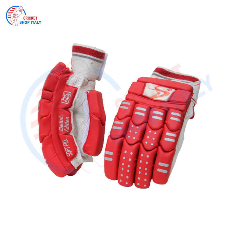 DS Red Cricket Pads & Gloves Set 4