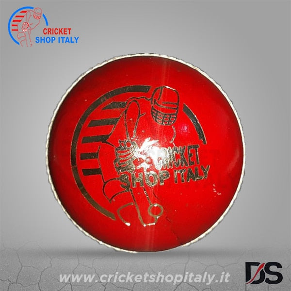 Test Special A Cricket Ball