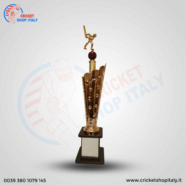 2023 Icon Cricket Winner Trophy 1